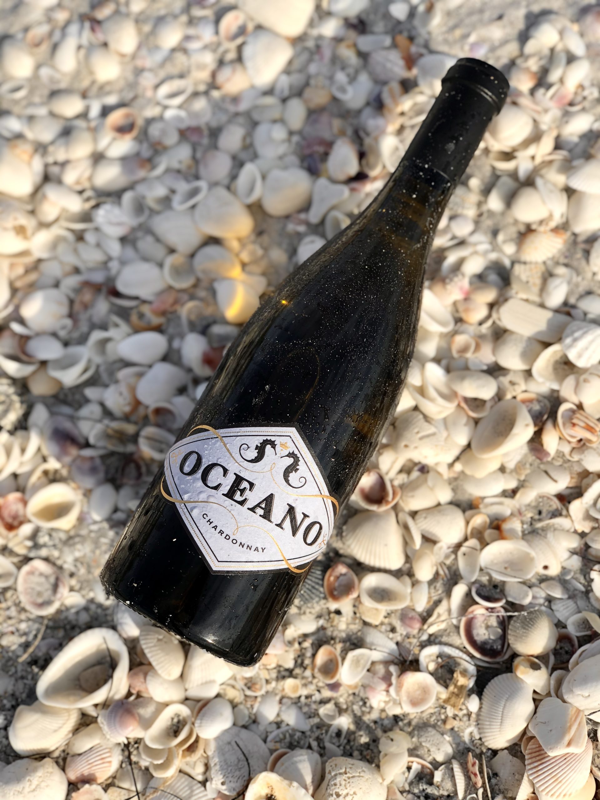 Oceano Wine bottle laid on beach sand and seashells